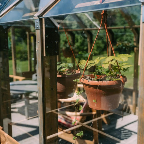A Nordwood glass room in an owner's garden