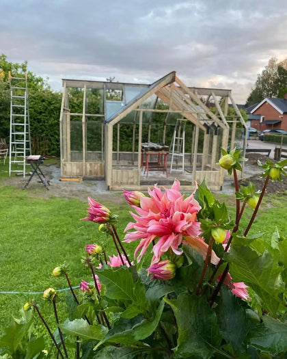 Customer greenhouse photo