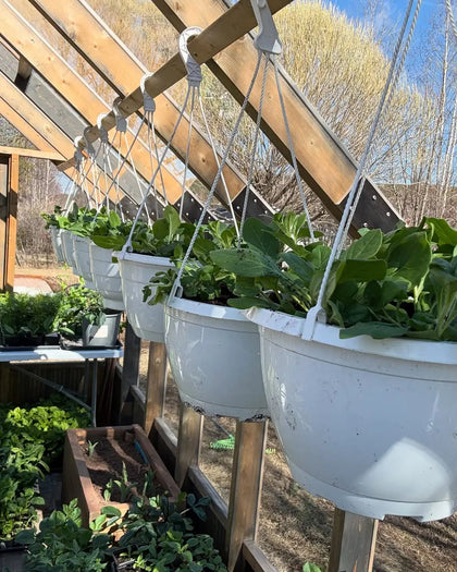 Customer greenhouse photo