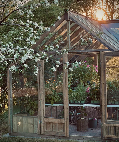 Nordwood Classic Greenhouse